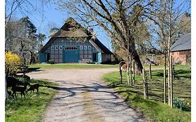 Ferienwohnung - De Deelstuuv